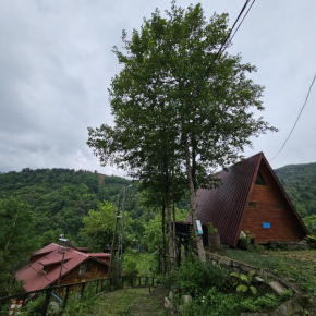 Elagza Dag Evi
